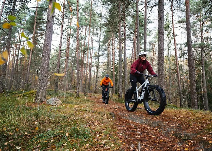 Otso-huoneistot Saniaistie *